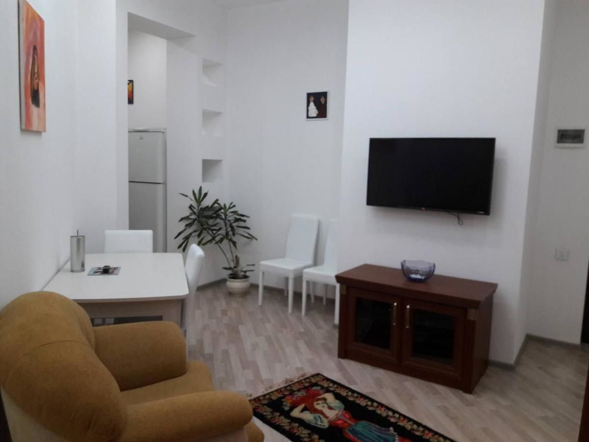 Апартаменты NIZAMI Street 2 Баку-4